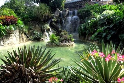  Le Jardin Botanique de Kuta: Une Odyssée Florale dans la Forêt Urbaine