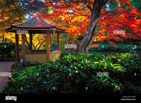 Le Jardin Japonais du Fort Worth Botanic Garden : Un havre de paix contemplatif et une immersion culturelle unique !