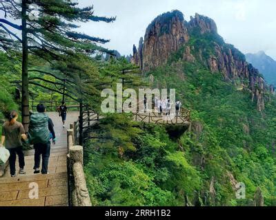 Le Mont Lianhua : Un joyau vert dominant la baie de Shanwei !