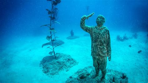 Le Musée du Corail de Sanya: Une plongée fascinante dans les profondeurs marines !