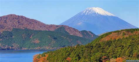  Le Parc du Mont Fuji, un paradis vert pour une pause contemplative !