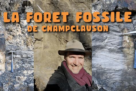  Le Parc Géologique de la Forêt Fossile de Yichun : Un voyage à travers des millions d'années !