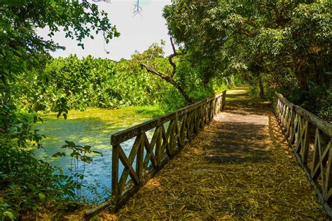  Le Parque Botânico de João Pessoa: Un sanctuaire vert et une oasis de calme en plein cœur de la ville